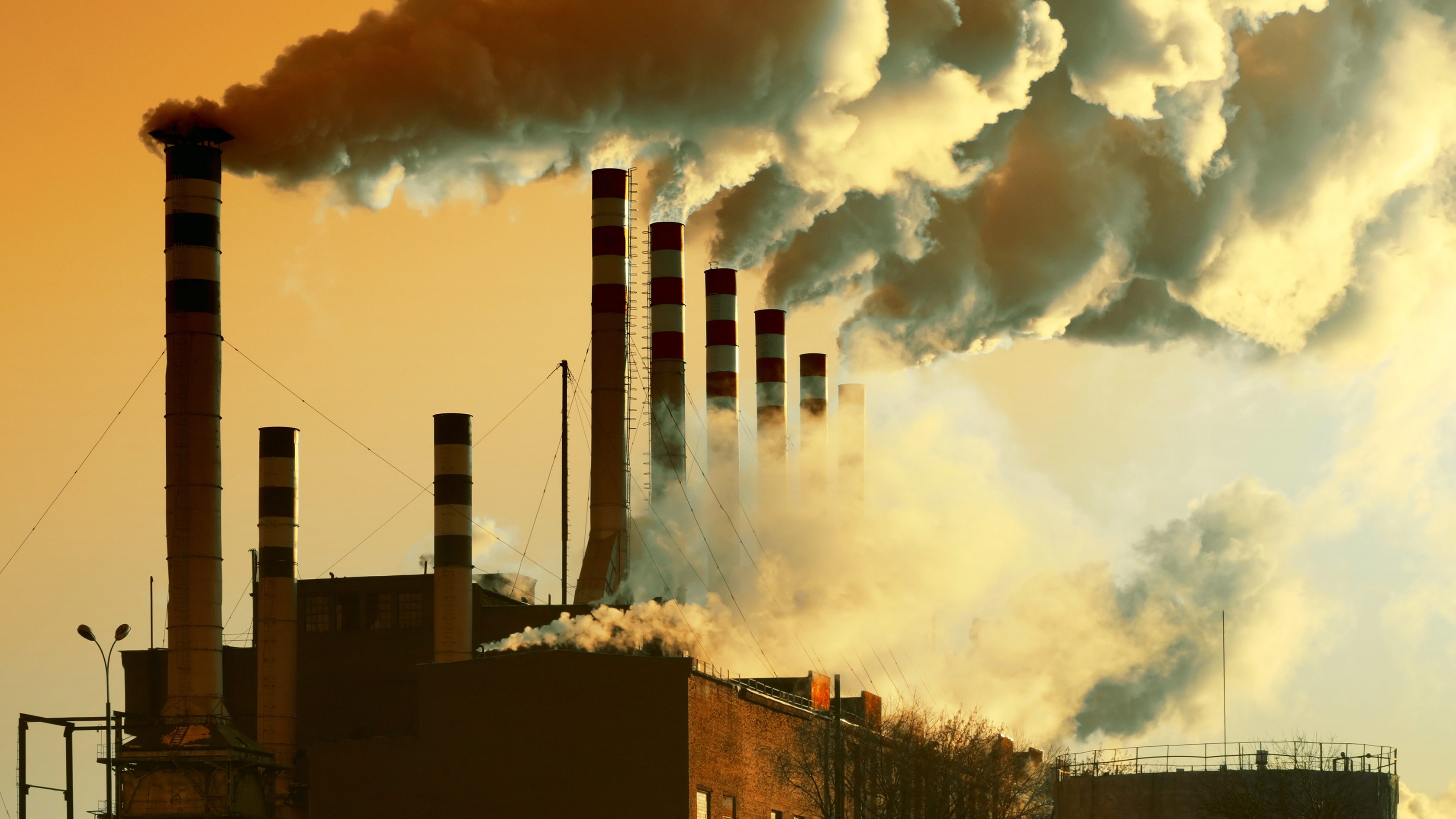 chute cheveux pollution