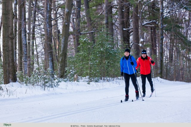 Ski de fond au parc national d’Oka - Crédit photo Dominic Boudreault