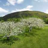 route des cidres 4 credit tourisme monteregie