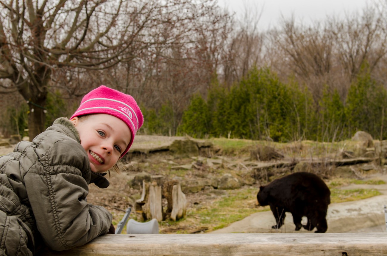 Zoo Ecomuseum Marie_Ours crédit David Rodrigue