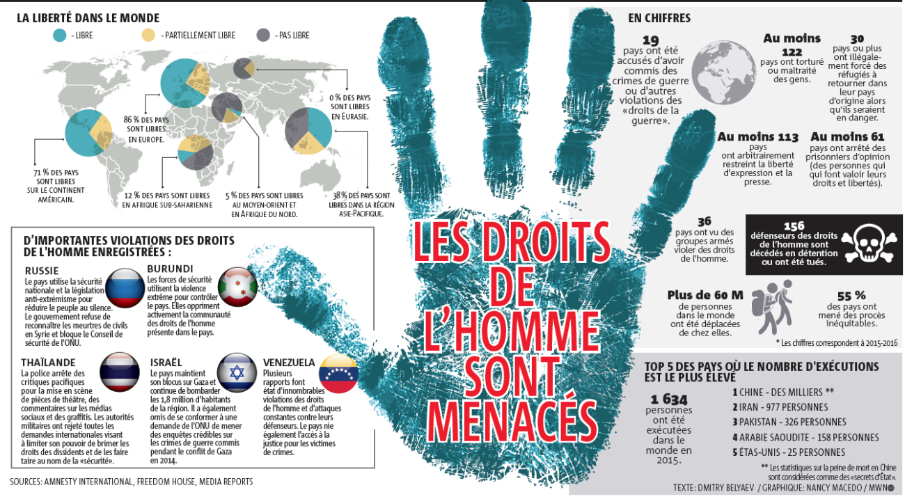 infographie droits de l'homme grande