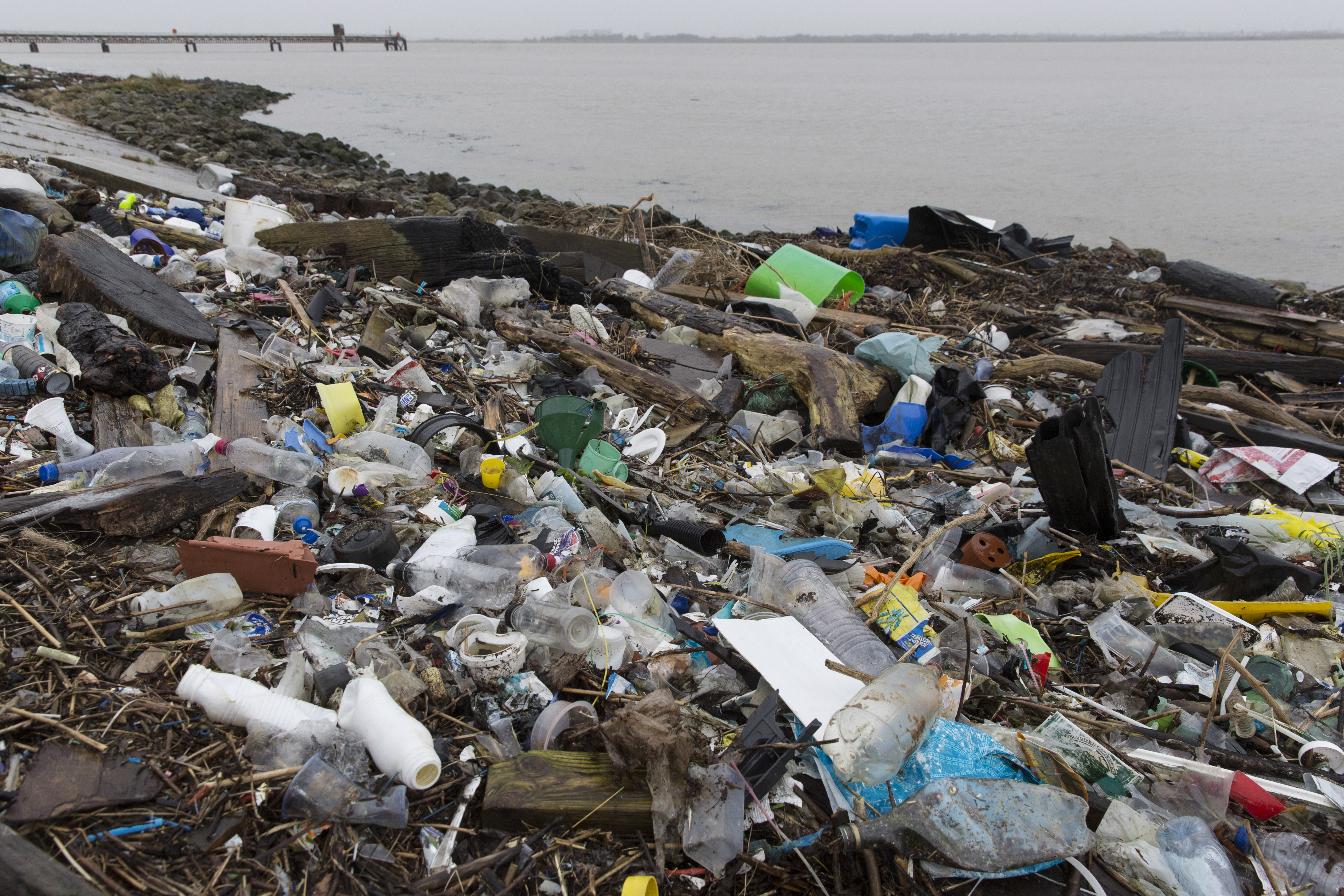 Plastique : le Canada exporte l’équivalent en poids de 800 baleines par an