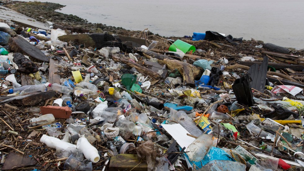 Plastique : le Canada exporte l’équivalent en poids de 800 baleines par an