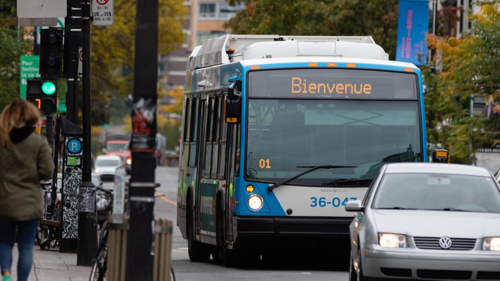 bus STM