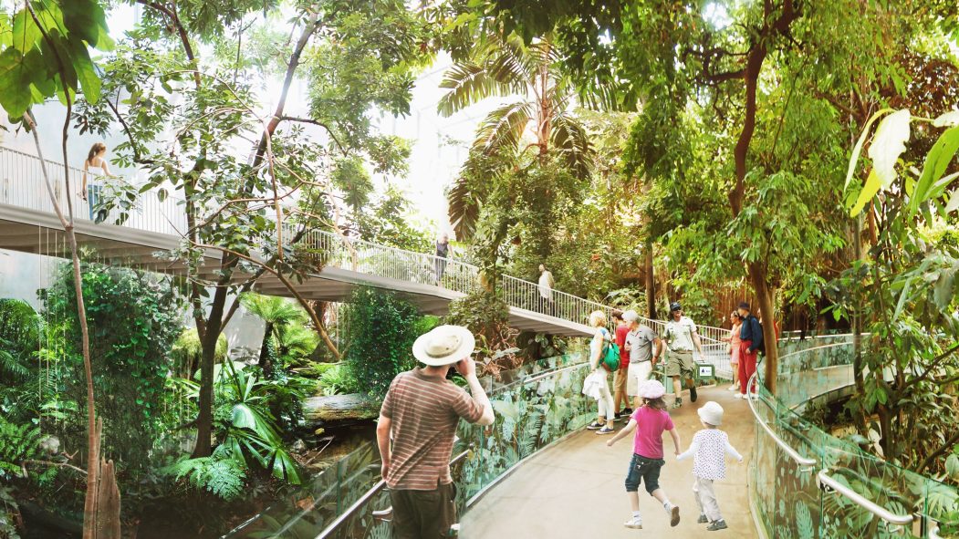 Images conceptuelles du futur Biodôme.