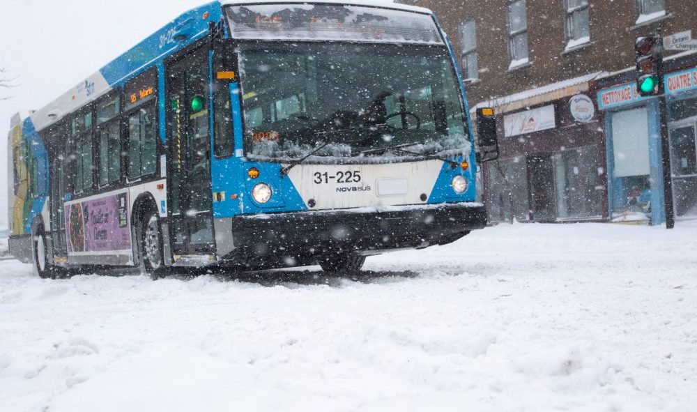 bus STM