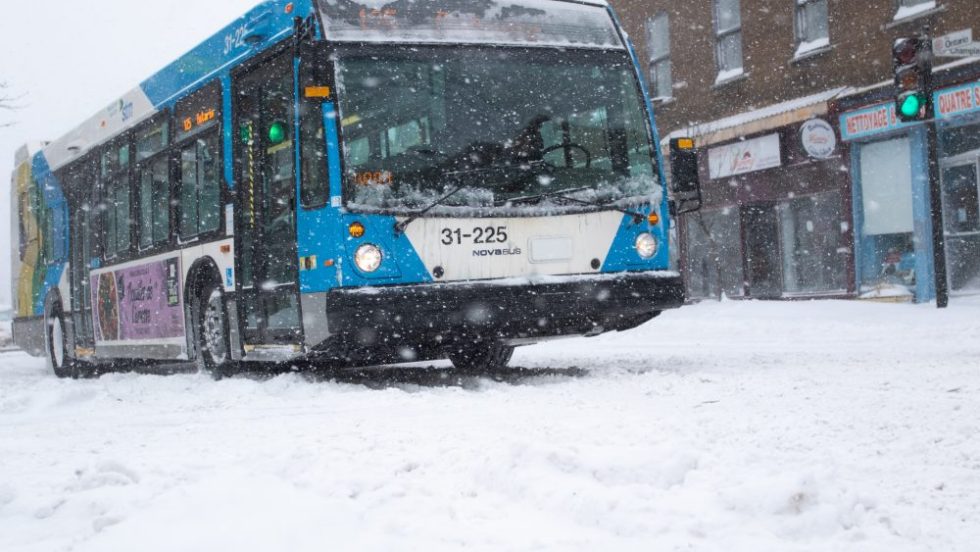 bus STM