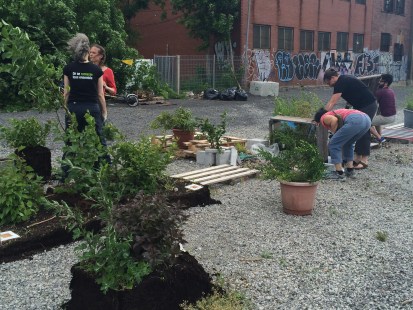 Le terrain du parc des Gorilles a finalement été racheté par la Ville de Montréal.