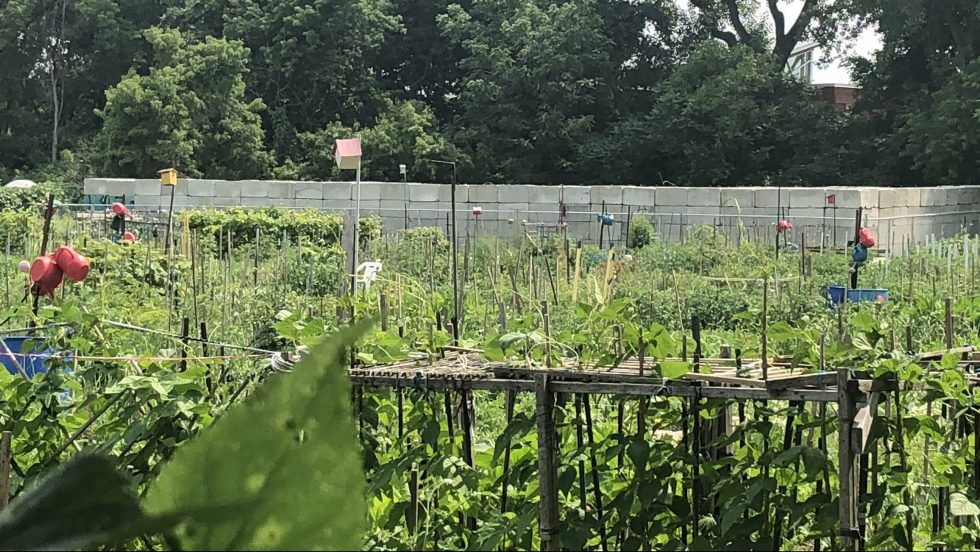 jardins communautaires