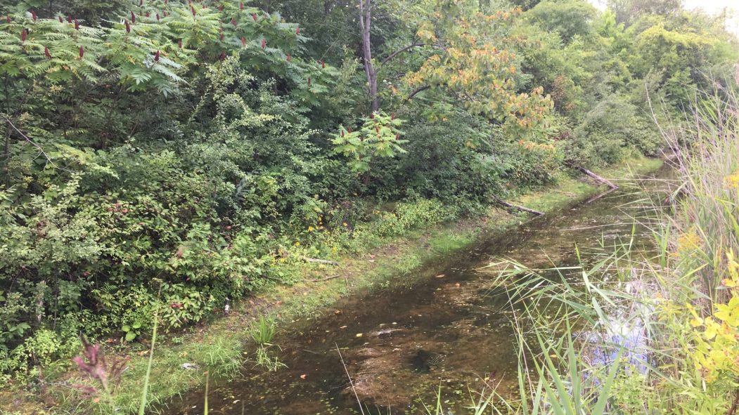 Près du parc écologique