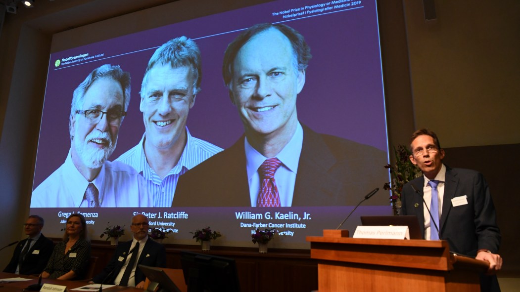 Prix Nobel de médecine 2019