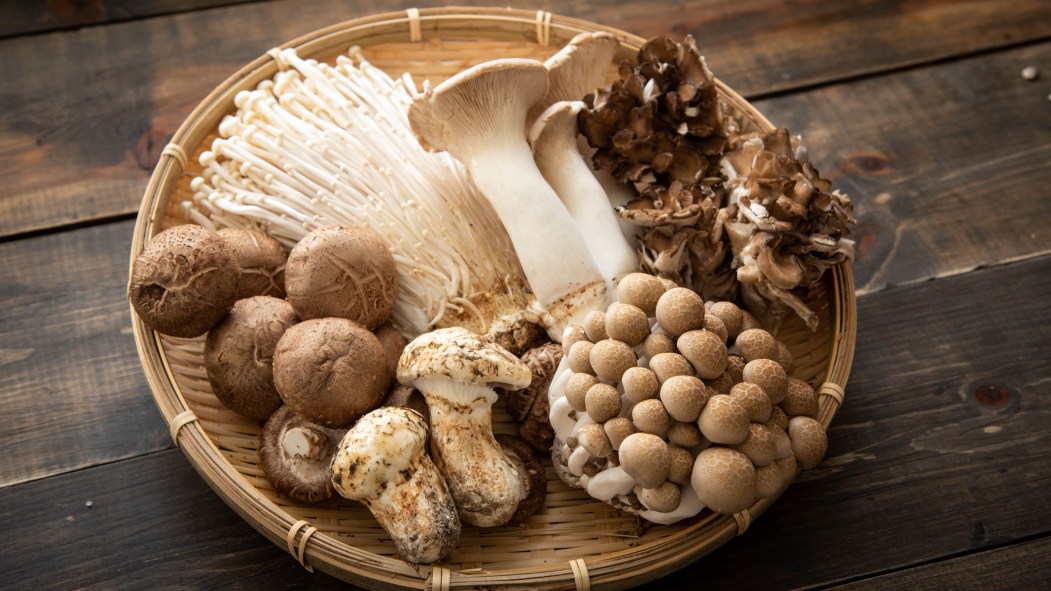 champignons japon