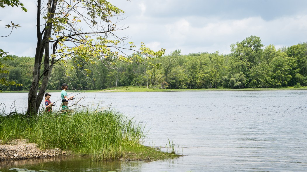 Grand parc de l'Ouest