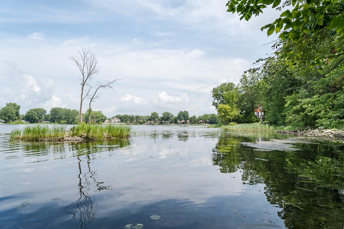 Une berge du Parc-nature du Cap-Saint-Jacques, qui fera partie du Grand Parc de l'Ouest.
