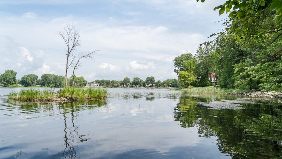 Une berge du Parc-nature du Cap-Saint-Jacques, qui fera partie du Grand Parc de l'Ouest.