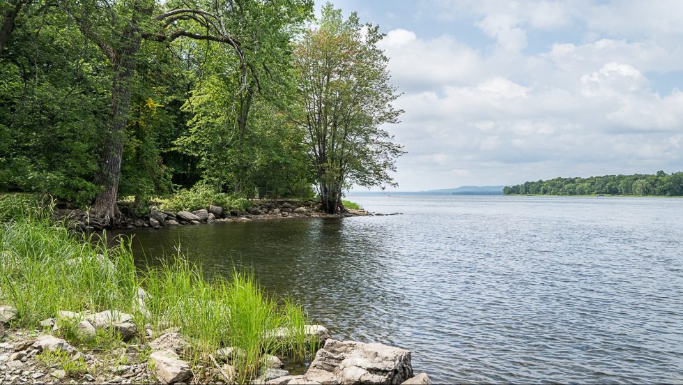 Une berge du Parc-nature du Cap-Saint-Jacques, qui fera partie du Grand Parc de l'Ouest.