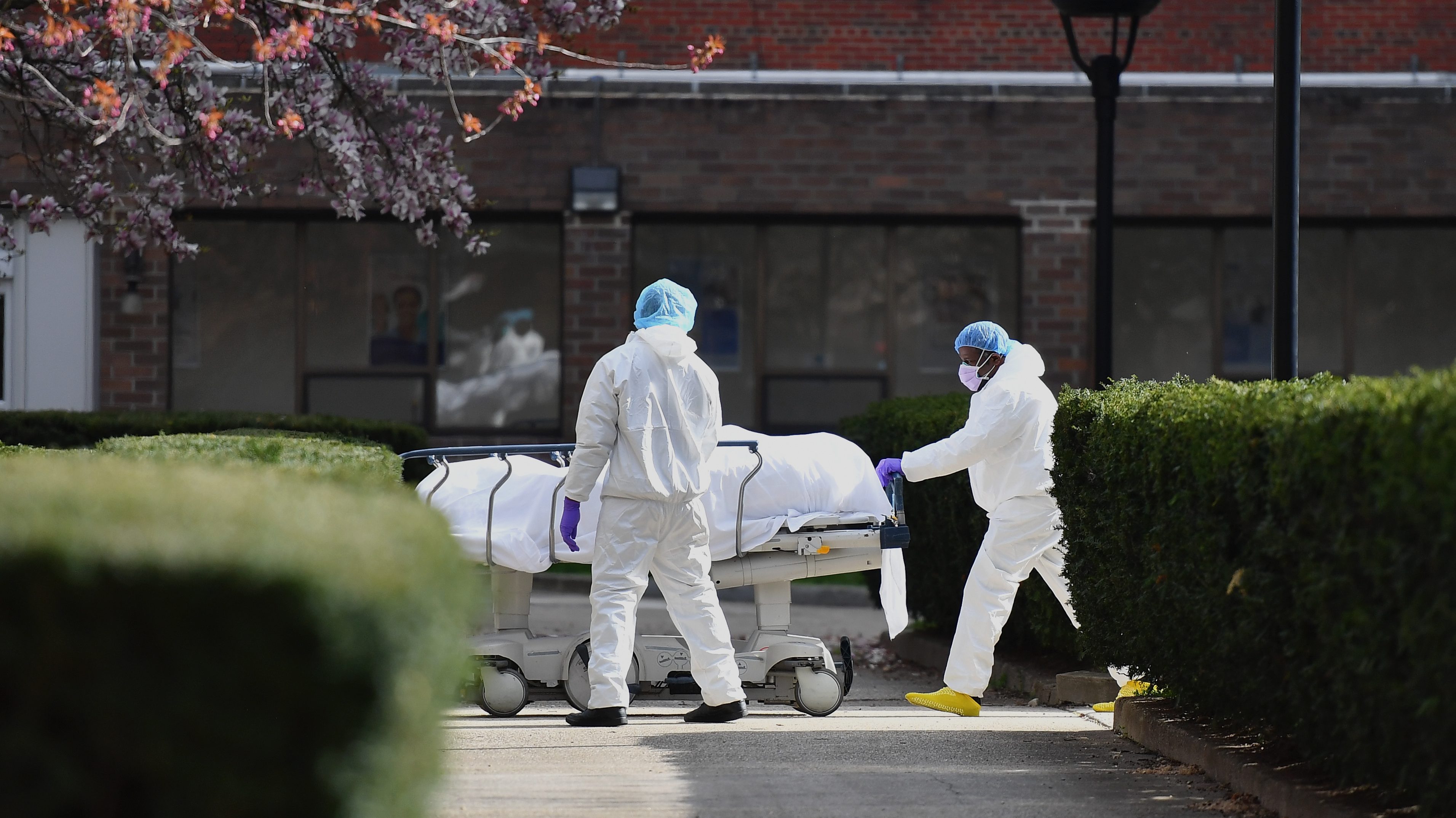 comptage morts coronavirus