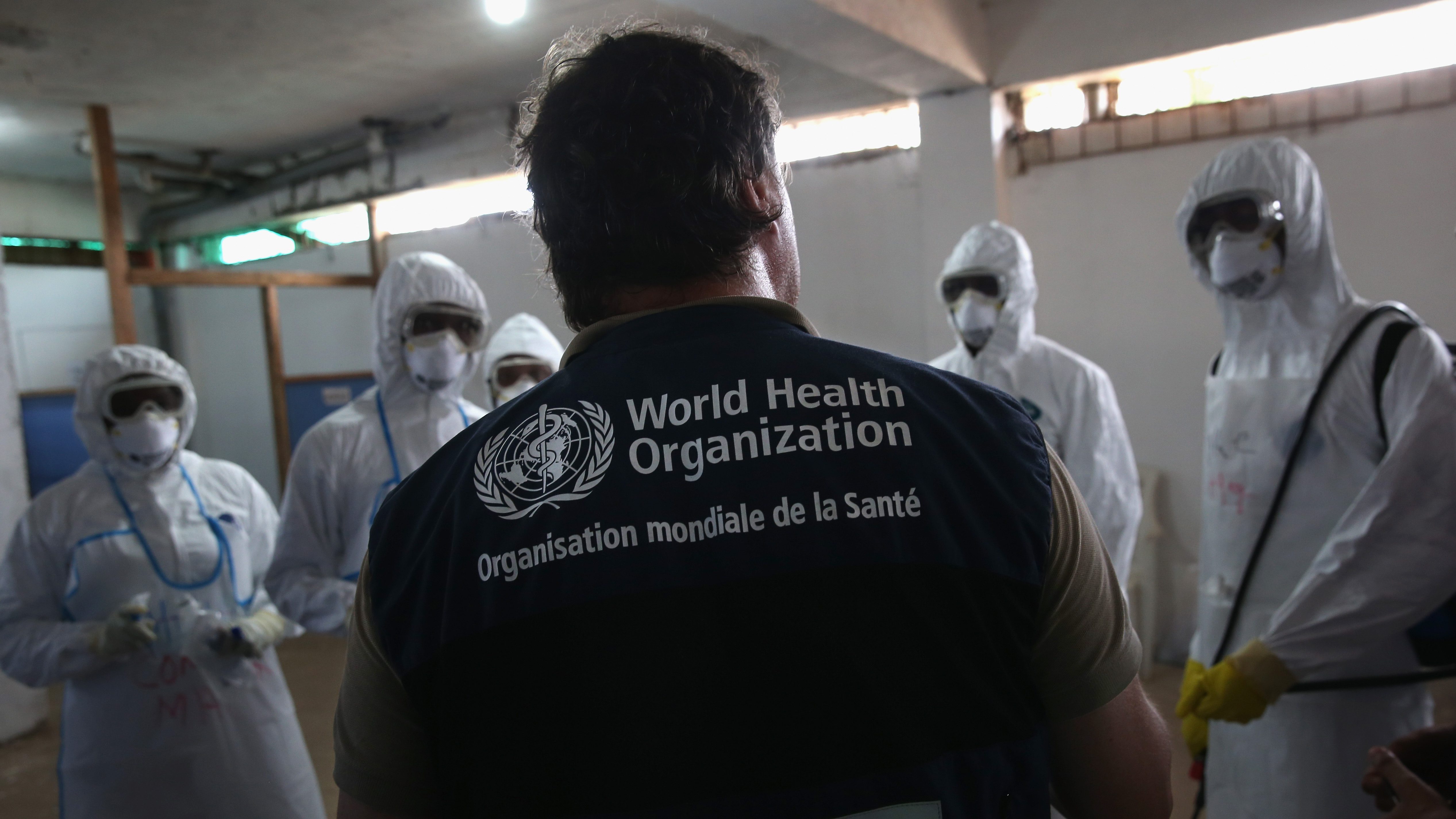 L'Australie demande que l'Organisation mondiale de la santé (OMS) soit dotée d'inspecteurs pouvant enquêter sur l'éclosion de virus.