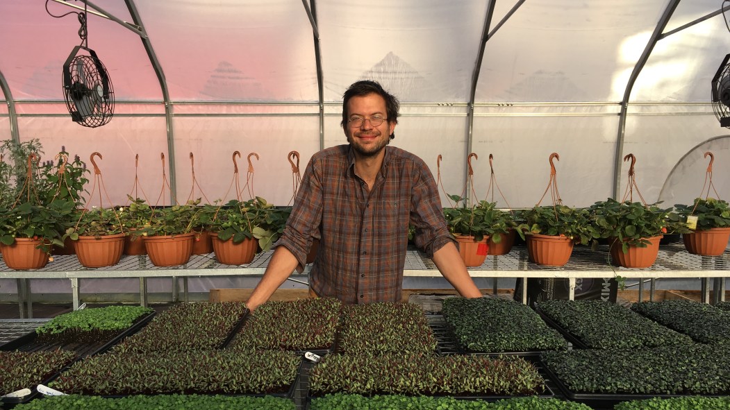 Jean-Philippe Vermette dans une des serres en ville. Il défend l'agriculture urbaine