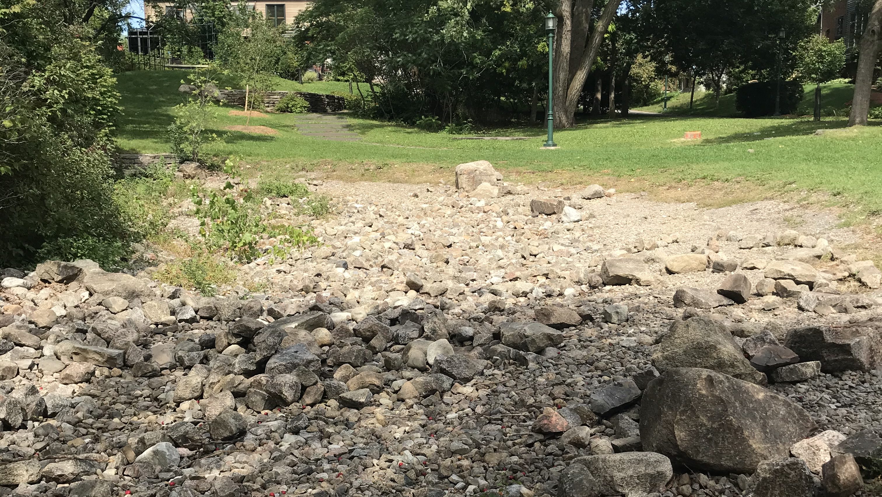 Des étangs du Village St-Louis sont asséchés.