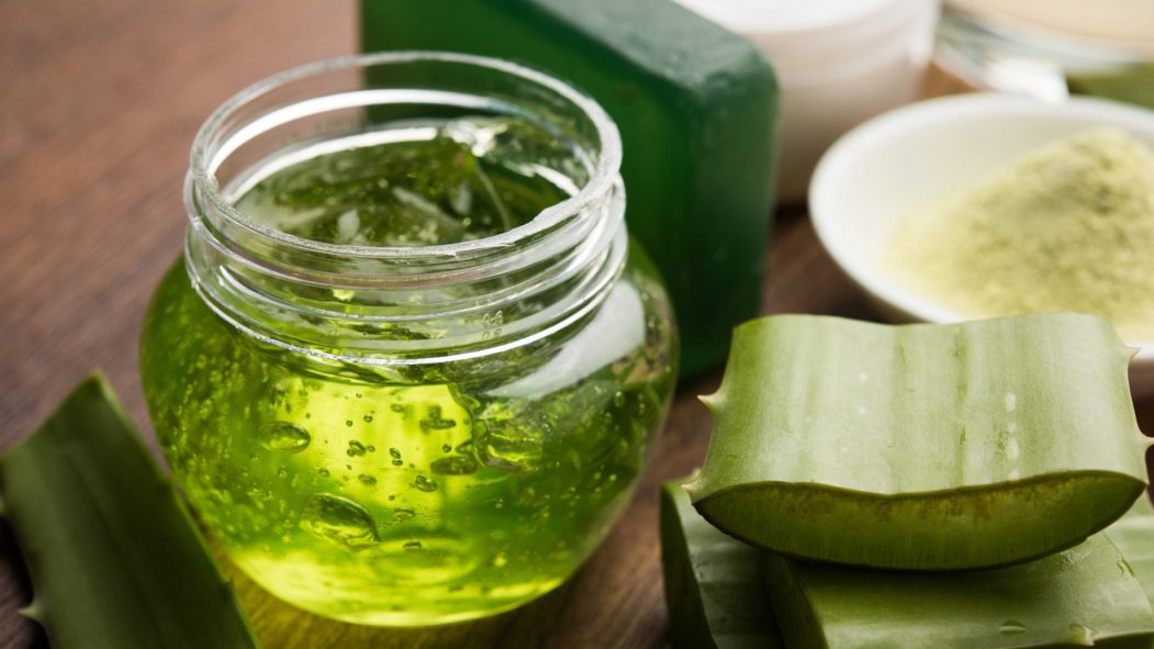aloe vera