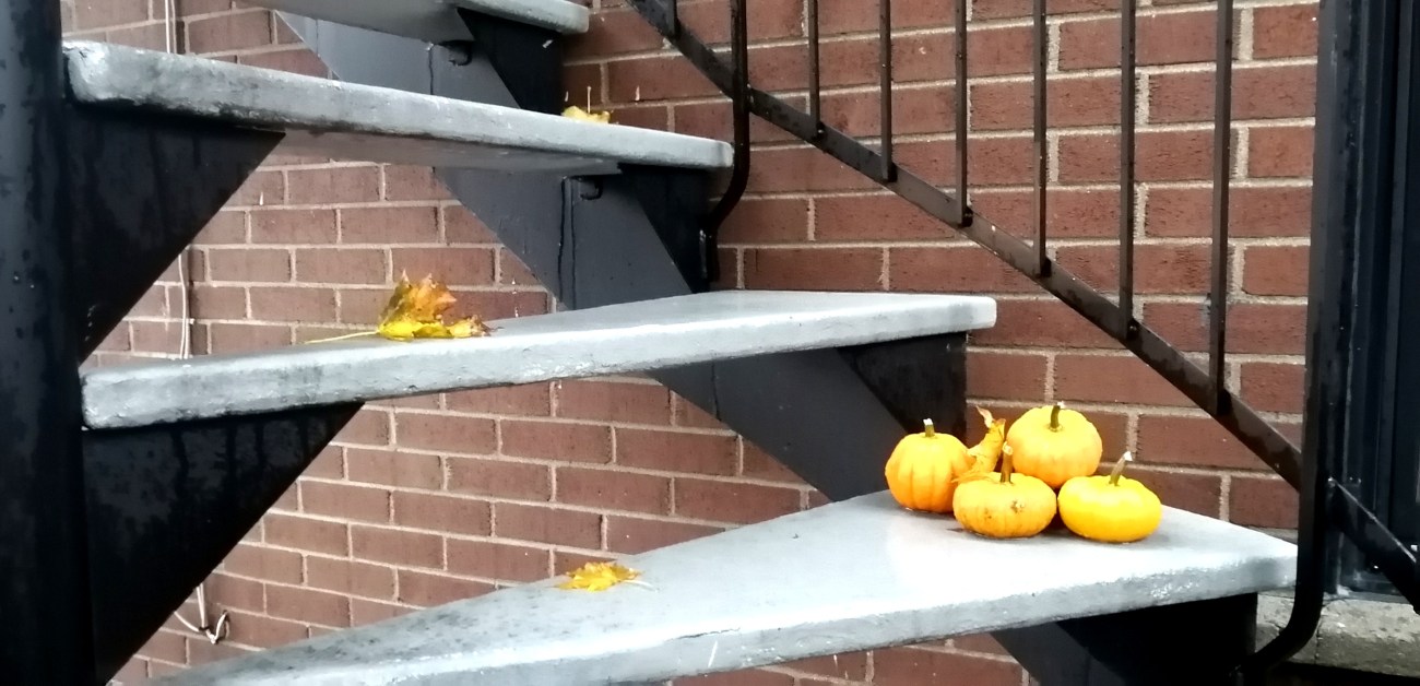 halloween Plateau-Mont-Royal