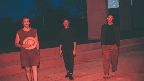 Plants and Animals The Jungle