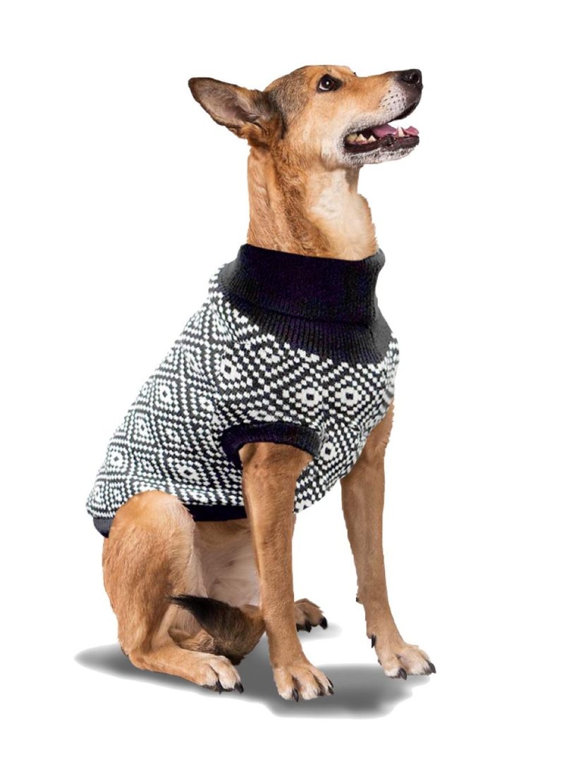 Chien portant un chandail au motif tribal