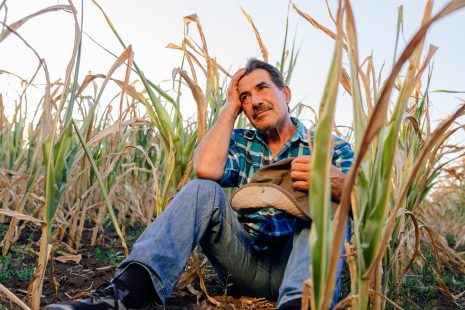 Il existe peu de ressources en santé mentale pour aider les agriculteurs en détresse.