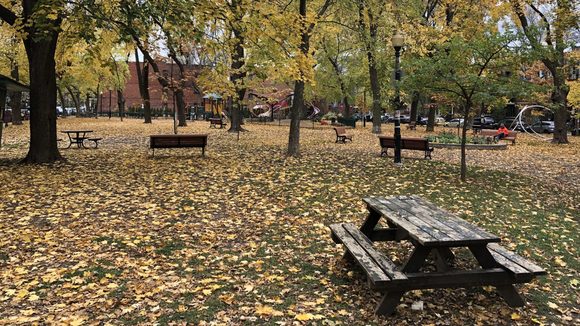 Parc Rosemont-La-Petite-Patrie