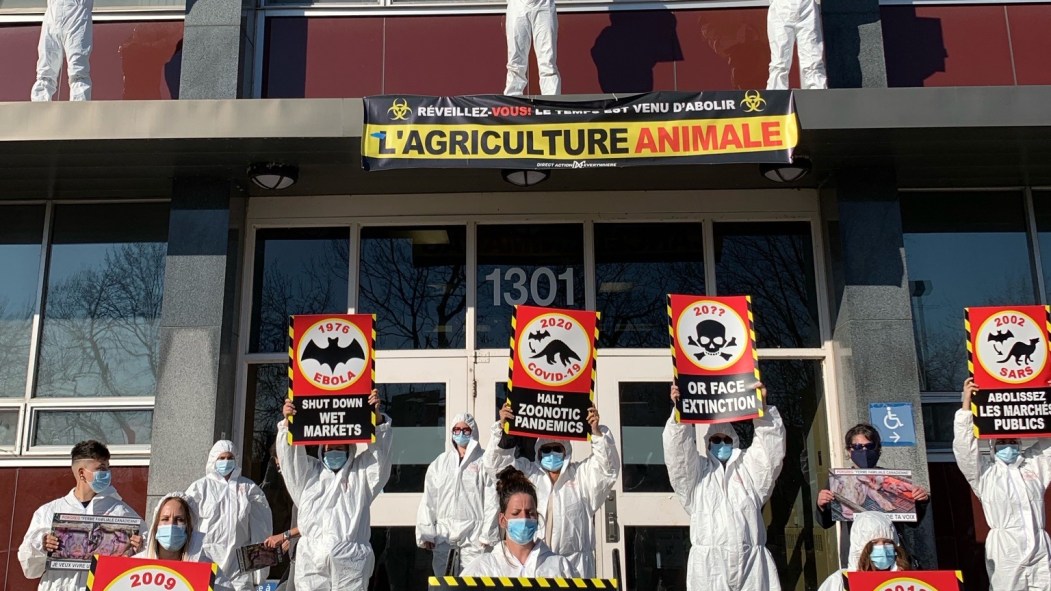 Les activistes de Direct Action Everywhere Montreal