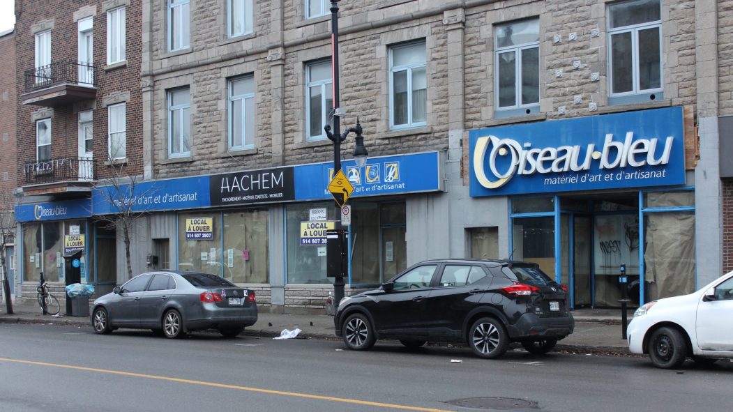 Photo du magasin L'Oiseau Bleu