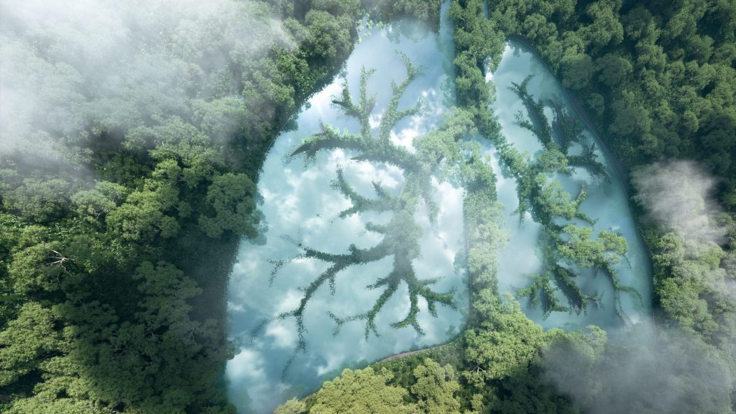 Environnement: meilleur climat, meilleure santé