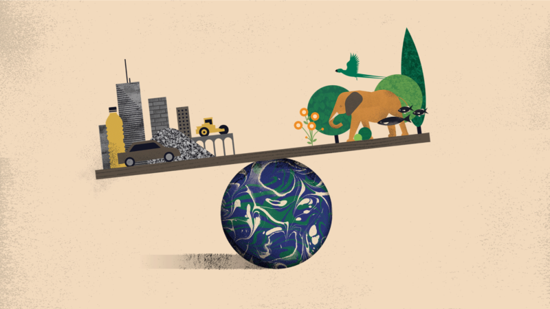 Biomasse: les objets faits par l'Homme pèsent lourd sur la planète selon une étude