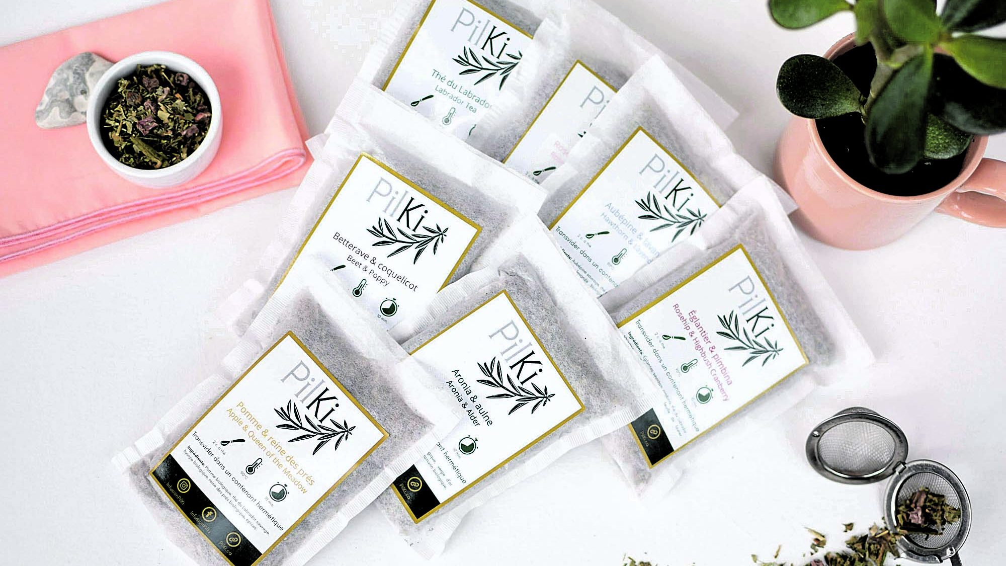 À la découverte des richesses boréales avec les infusions Pilki