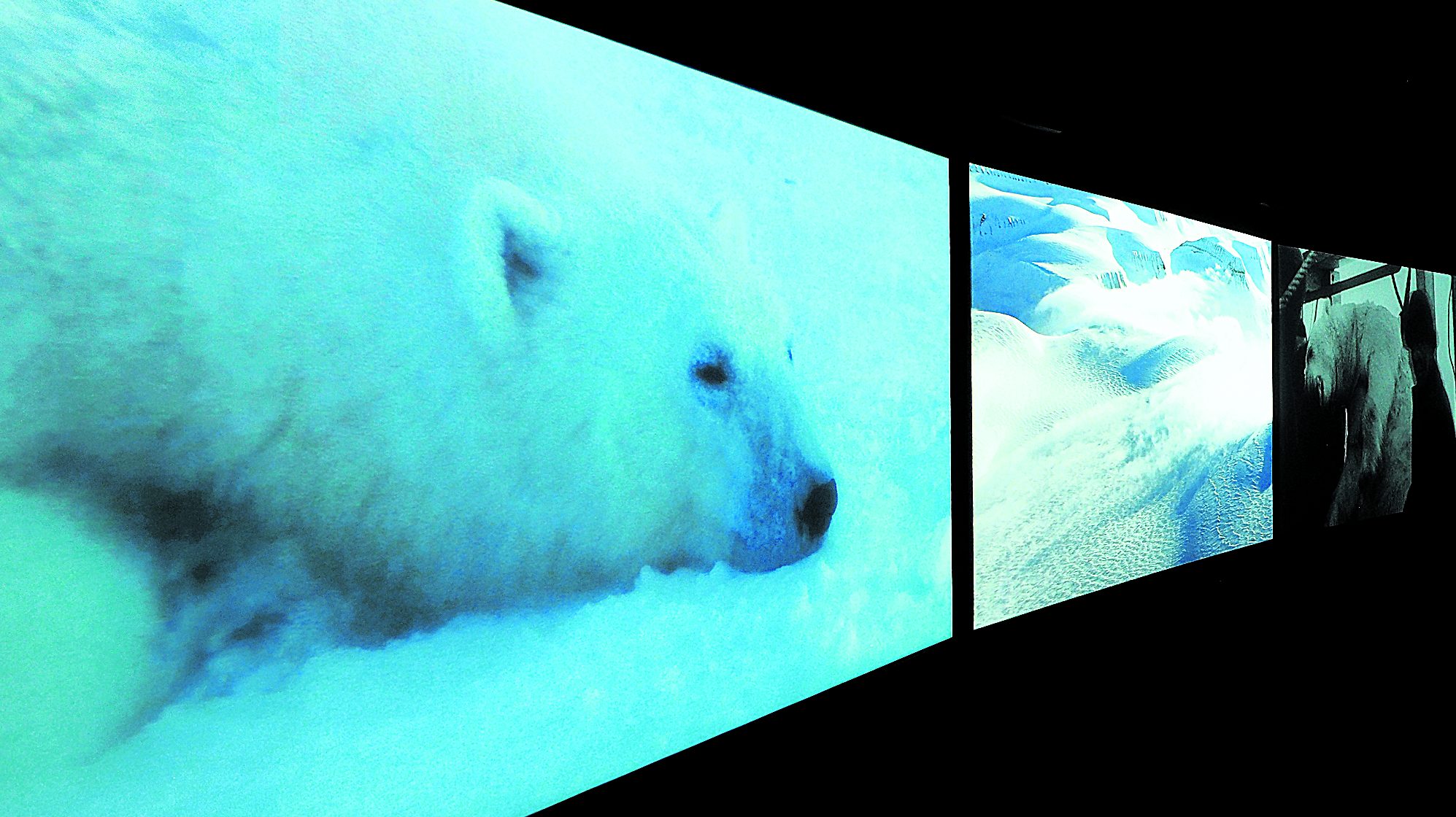 7e ciel: on craque pour «Vertigo Sea», «Soeurs: rêve et variations», «Body and Soul»...