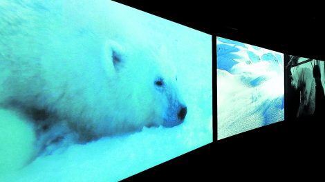 7e ciel: on craque pour «Vertigo Sea», «Soeurs: rêve et variations», «Body and Soul»...