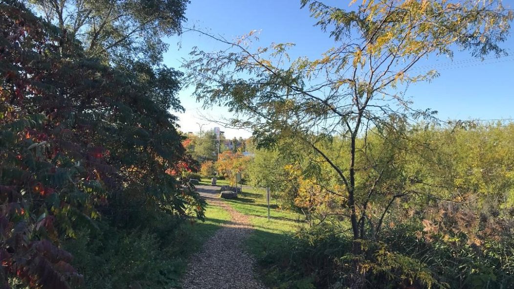 parc mhm espace vert montréal