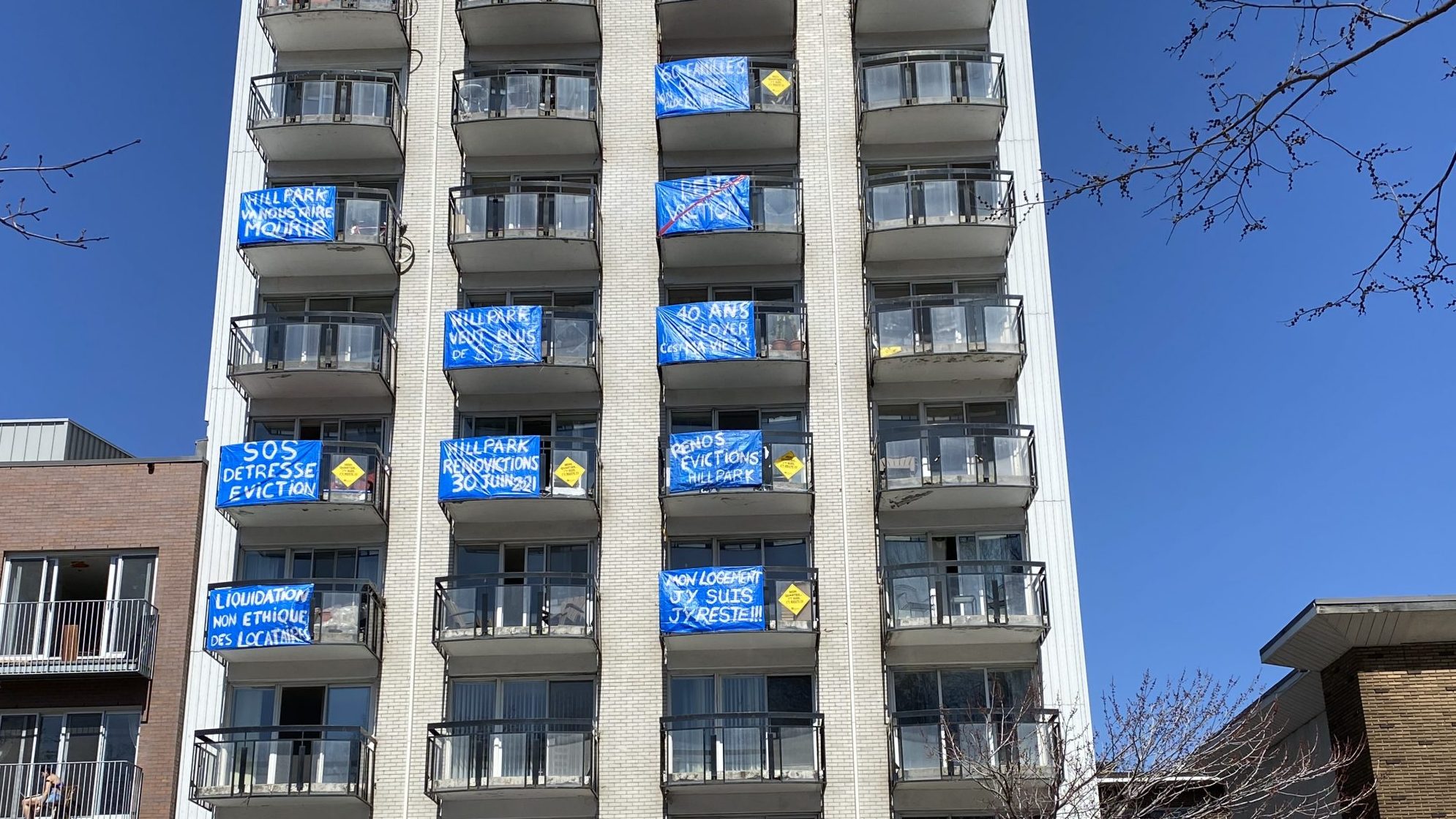 rénovictions crise du logement