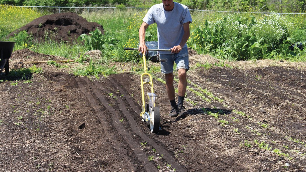 agriculture urbaine