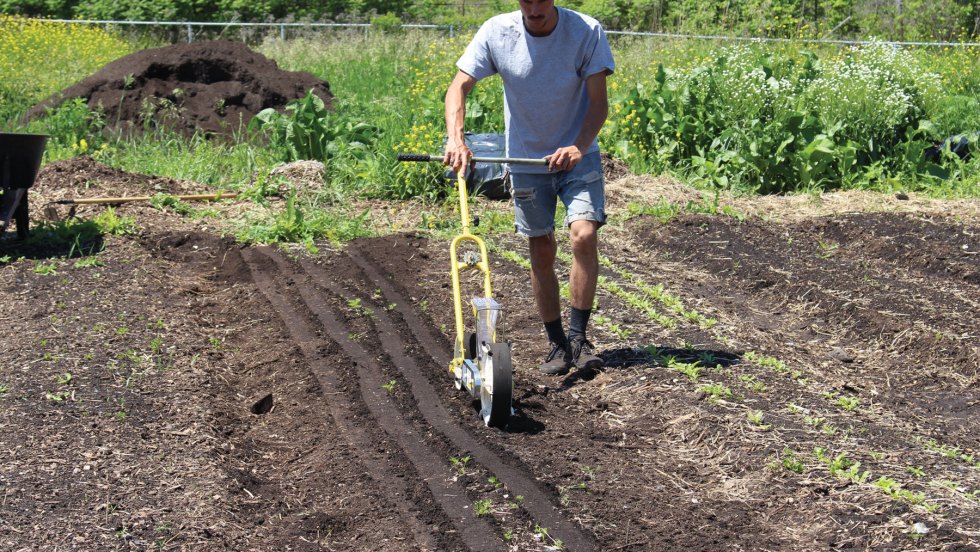 agriculture urbaine