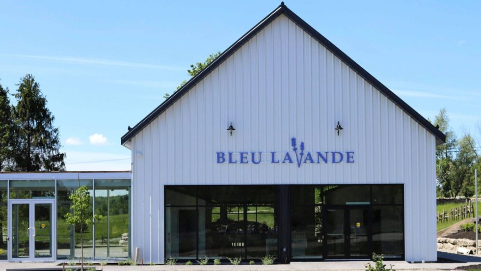 Nouvelle expérience immersive chez Bleu Lavande