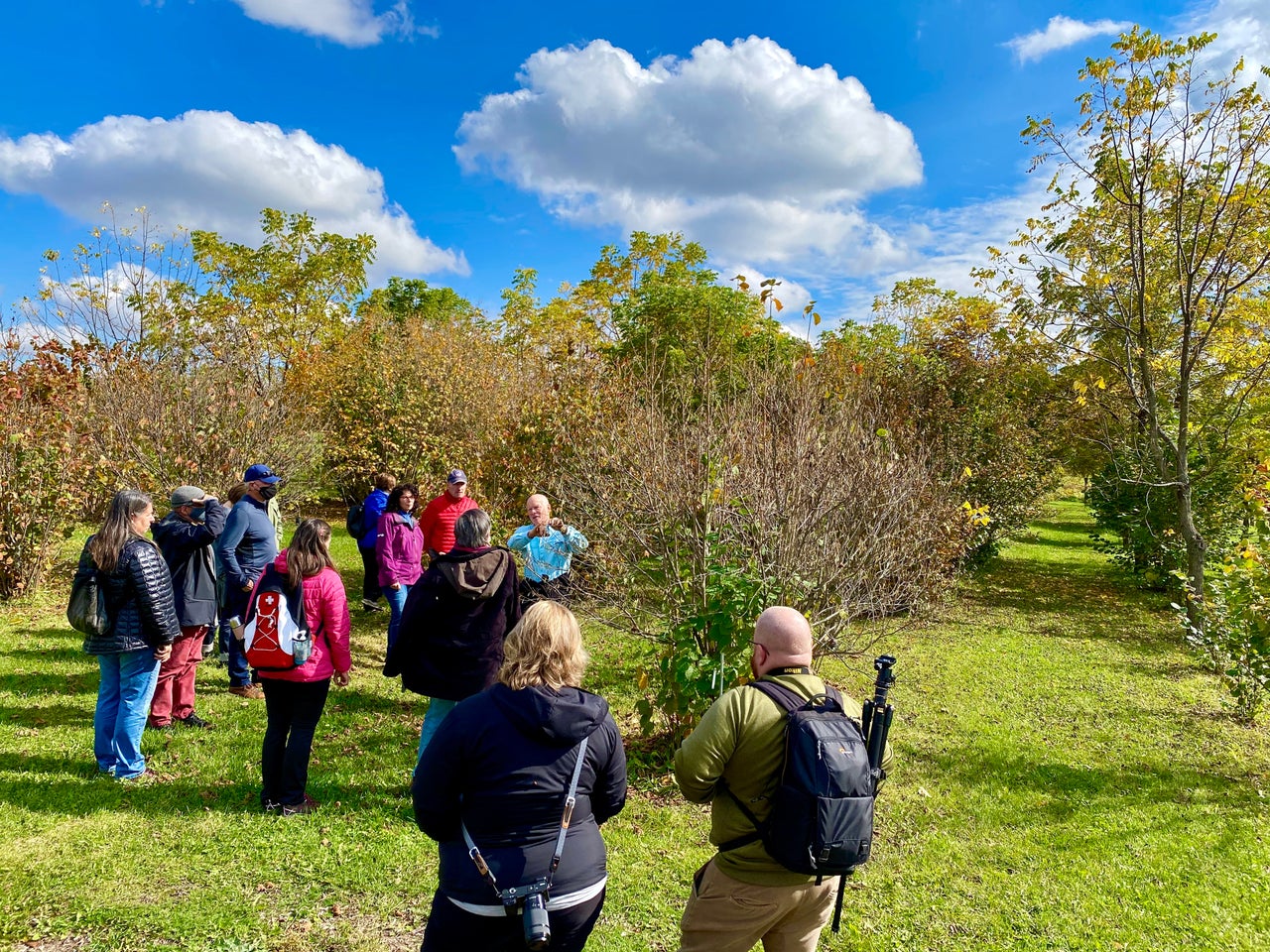 Au jardin des noix à Saint-Ambroise-de-Kildare