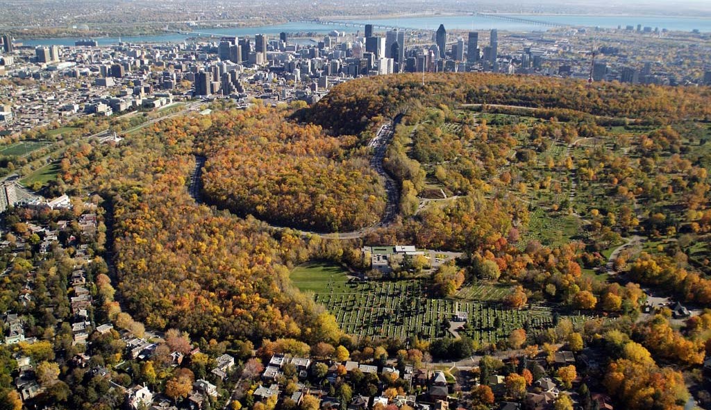 Image aérienne de la forêt urbaine du mont Royal, à Montréal.