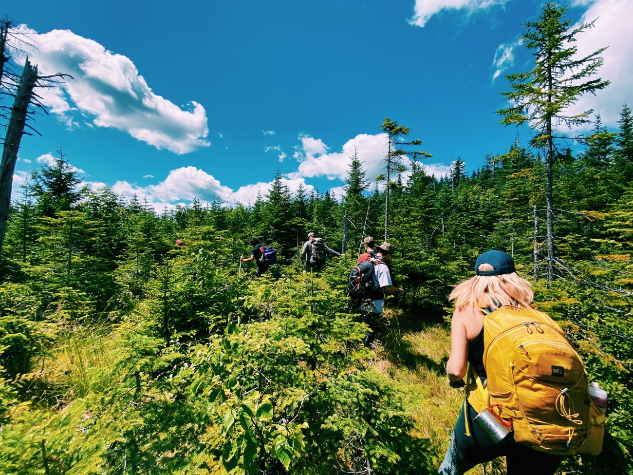 Survivre en forêt en se «perdant» dans les Laurentides avec Kanatha-Aki