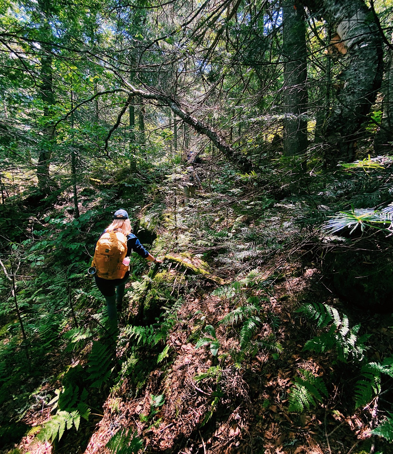 Survivre en forêt en se «perdant» dans les Laurentides avec Kanatha-Aki