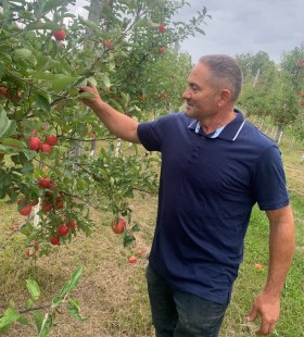 Un homme tenant une pomme dans un verger près d'un pommier.