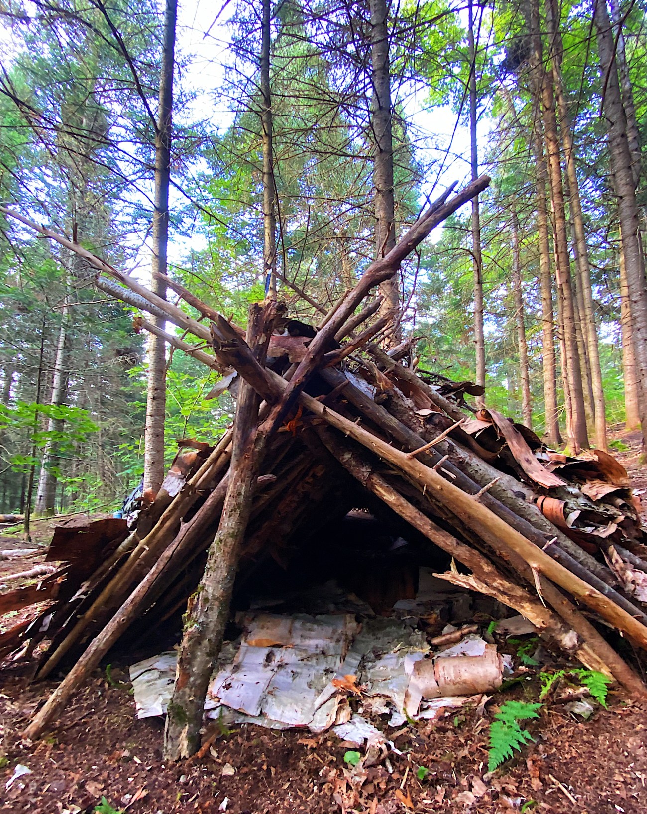 Survivre en forêt en se «perdant» dans les Laurentides avec Kanatha-Aki