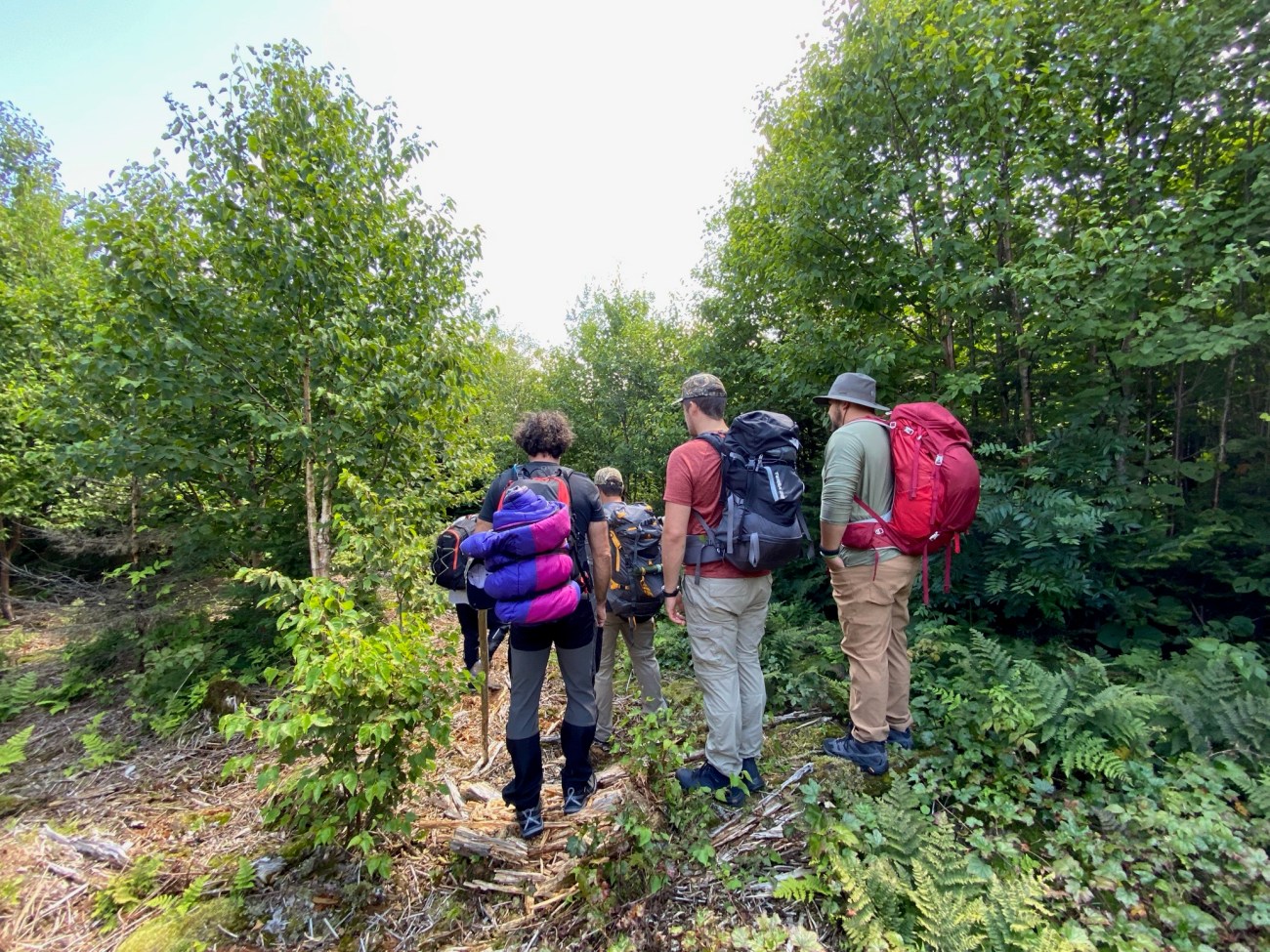 Survivre en forêt en se «perdant» dans les Laurentides avec Kanatha-Aki