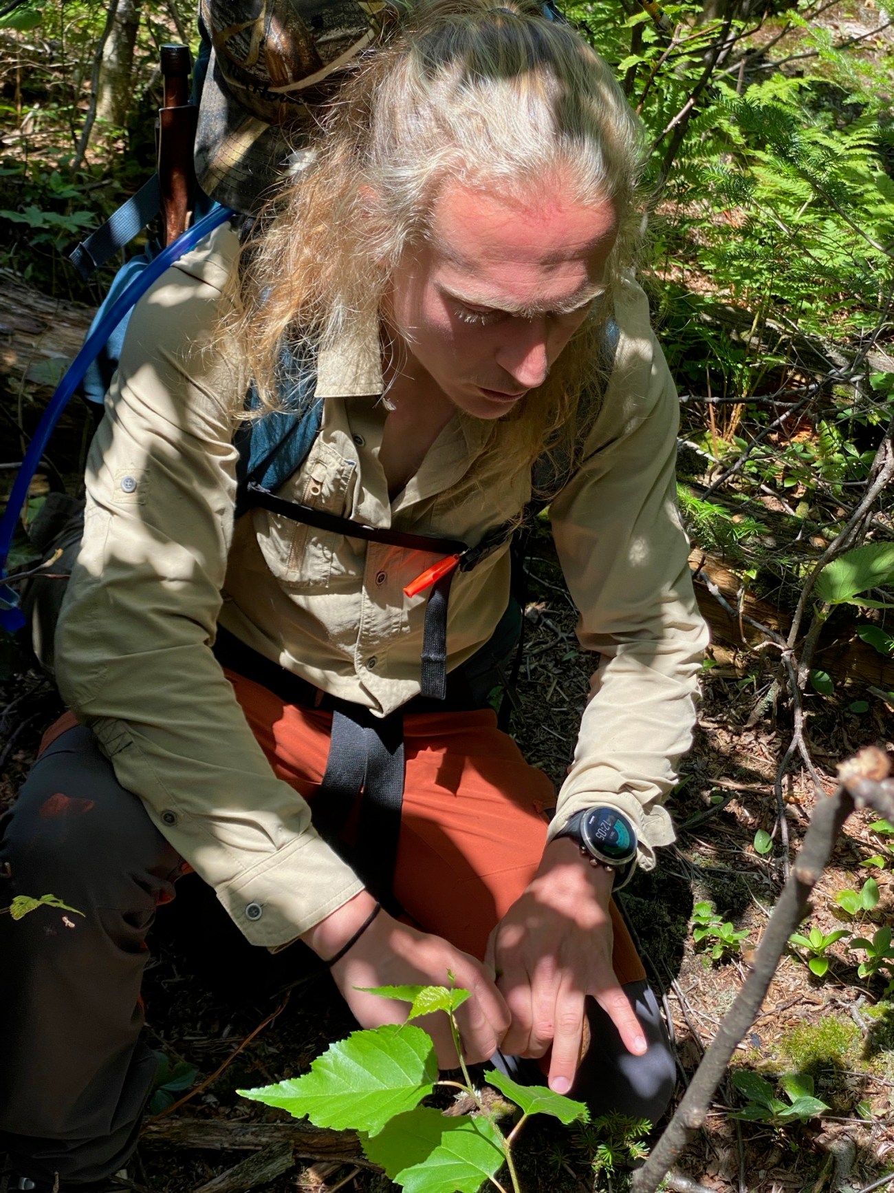 Survivre en forêt en se «perdant» dans les Laurentides avec Kanatha-Aki